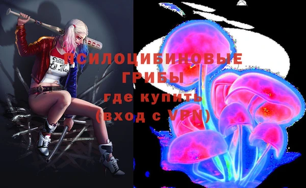 прущие грибы Алексеевка