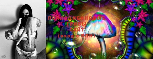 прущие грибы Алексеевка