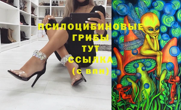 прущие грибы Алексеевка
